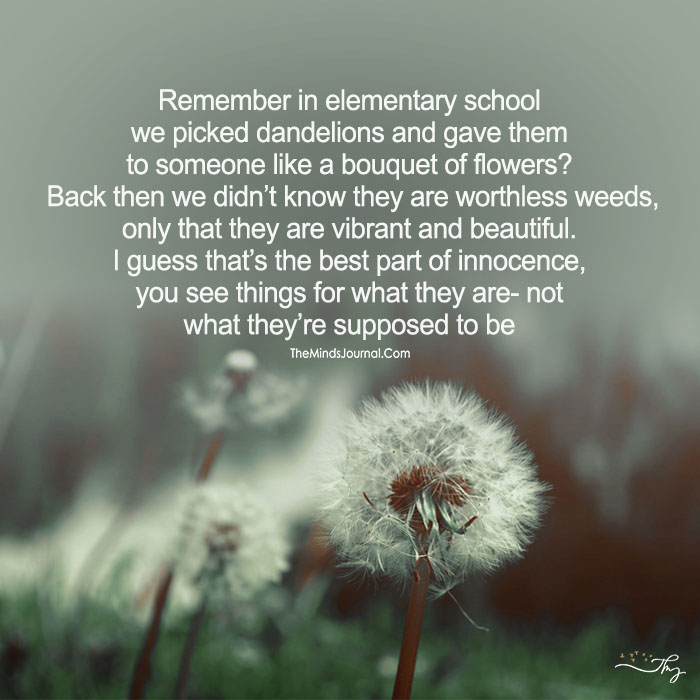 Remember In Elementary School We Picked Dandelions