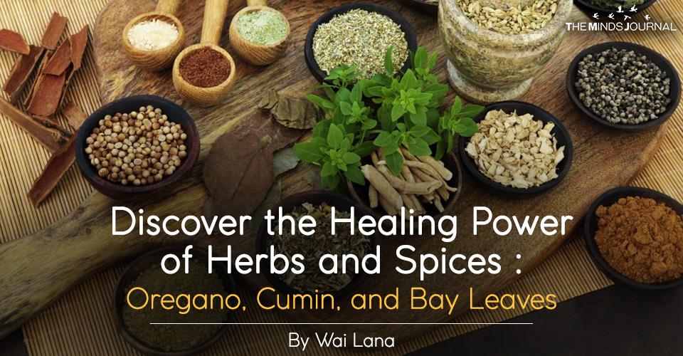 Discover the Healing Power of Herbs and Spices: Oregano, Cumin, and Bay Leaves