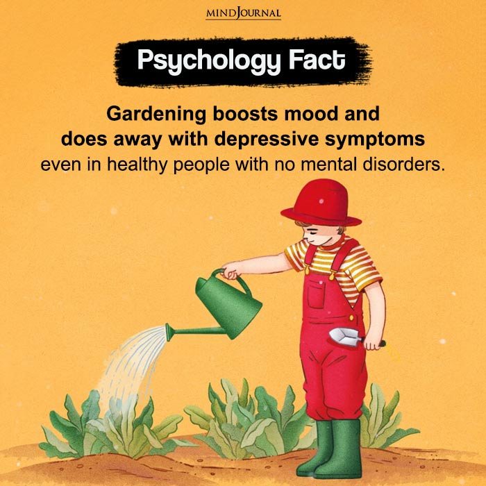 Gardening Boosts Mood And Does Away With Depressive Symptoms