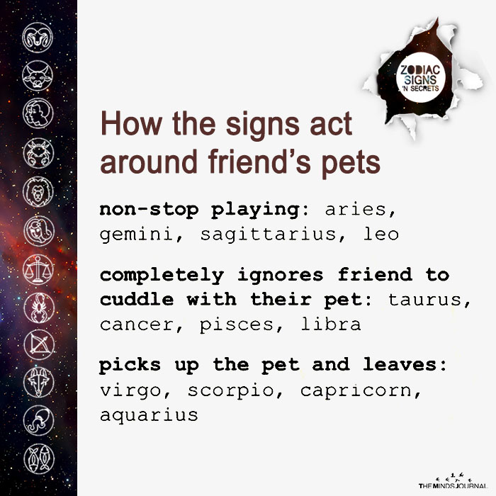 How The Signs Act Around Friend’s Pets