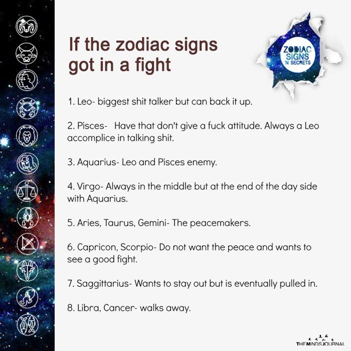 If The Zodiac Signs Got In A Fight