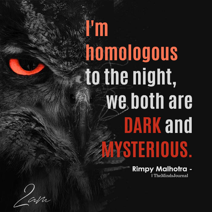 I’m Homologous To The Night