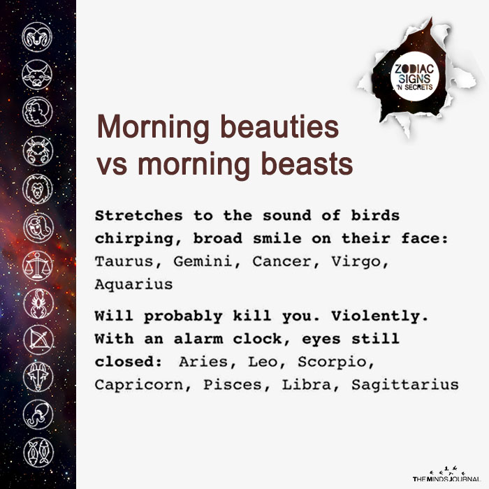 Signs As ‘Morning Beauties vs Morning Beasts’