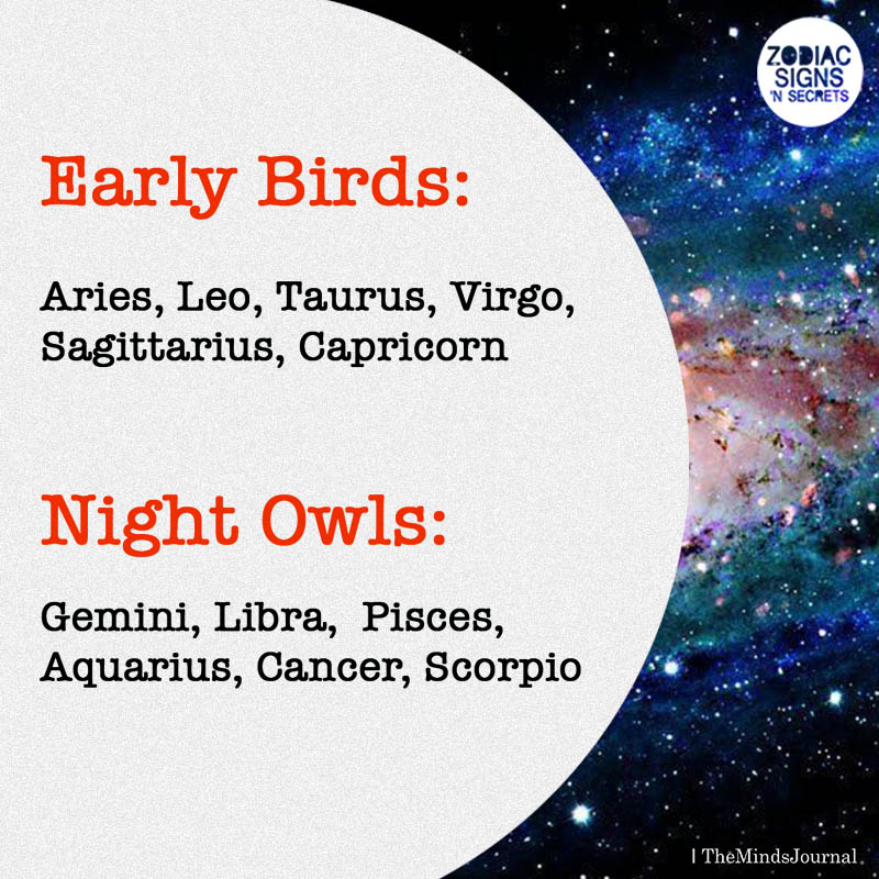 Signs As Early Birds And Night Owls
