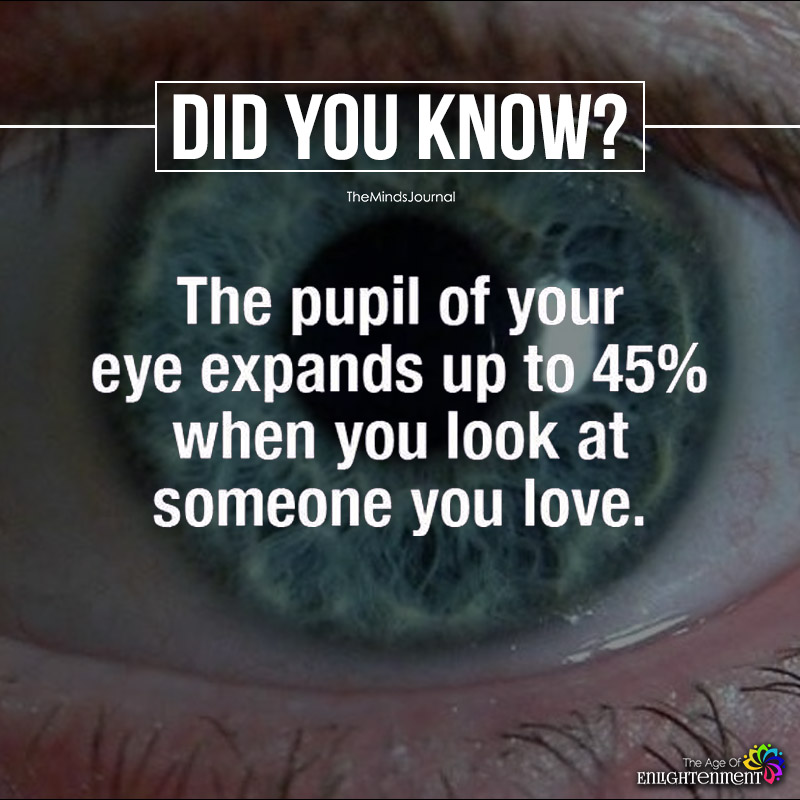 The Pupil Of Your Eye