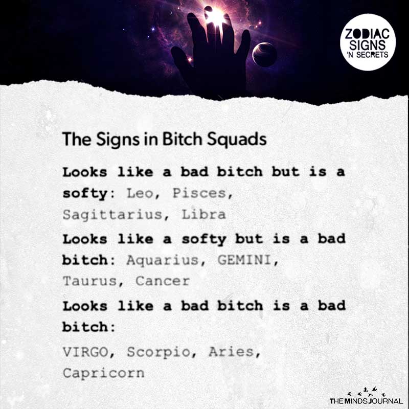 The Signs In Bitch Squads