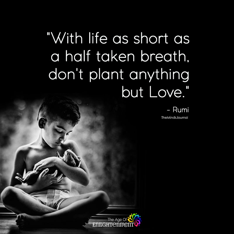 With Life As Short As A Half Taken Breath