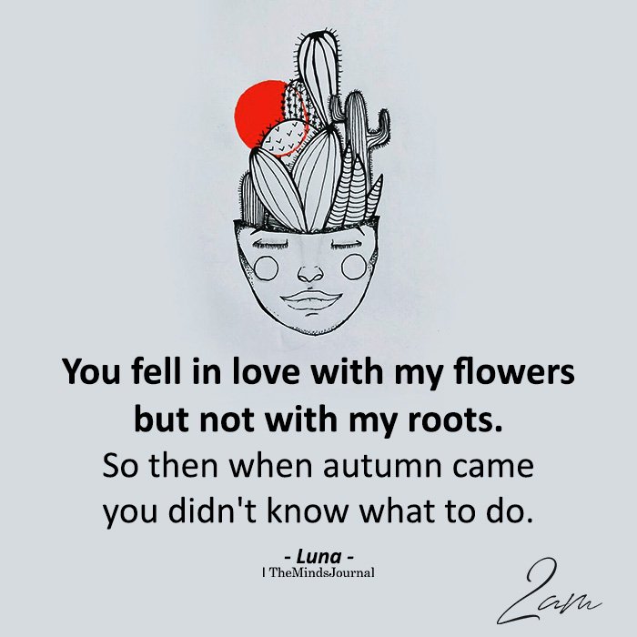 You Fell In Love With My Flowers