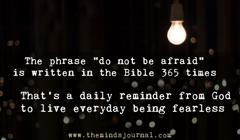 Do Not Be Afraid – Bible