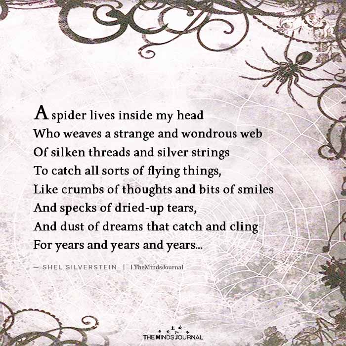 The Signs And Spiders