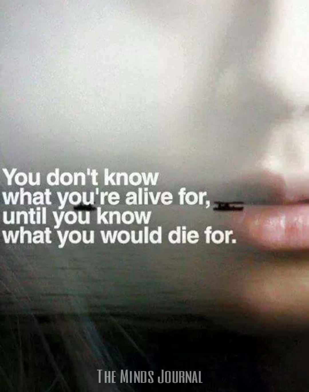 You Don’t Know What You’re Alive For